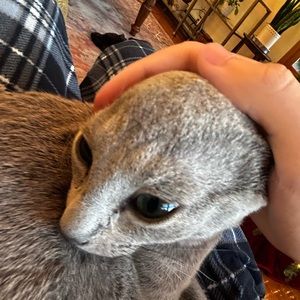 Meet your Posher, Cole